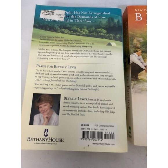 Complete THE COURTSHIP OF NELLIE FISHER Series 1-3 Beverly Lewis Book Lot - Picture 3 of 7